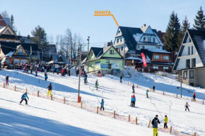 Wanta Bukowina Tatrzanska